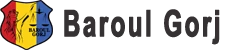 Sigla barou - avocat definitiv